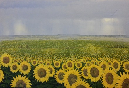 Sunflowers by Bruce Hill